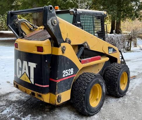 Cat 236B 246B 252B 262B parts catalog PDF cover